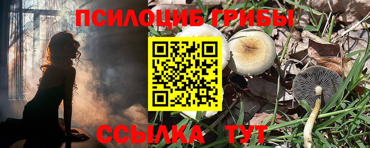 Псилоцибиновые грибы ЛСД Дубна